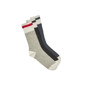 POLAR PAWS 3 PAIRES DE BAS POUR HOMMES